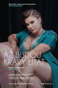Až budou krávy lítat